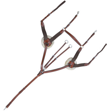 Collier de chasse 5 points Lexington Collier de chasse 5 points Lexington