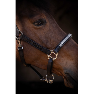 Halster Pénélope Harmonie Zwart