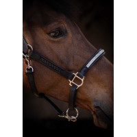 Licol Pénélope Harmonie Noir