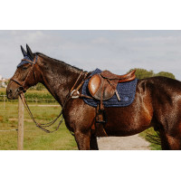 Collier de chasse Norton 5 points Havane Marron