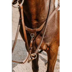 Borsttuig NORTON - 5 punten Havana Bruin