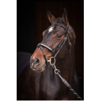 Bridon Pénélope Symphonie Zwart Bridon Pénélope Symphonie Zwart