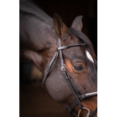 Bridon Pénélope Symphonie Noir