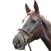 Bridon Privilege Equitation Biarritz gecombineerd Bruin