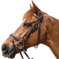 Bridon Privilege Equitation Grandville gecombineerd Bridon Privilege Equitation Grandville gecombineerd
