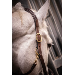 Licol cuir 3 mousquetons Paddock Sports Havane Marron