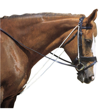 Chambon Excelsior met katrollen Chambon Excelsior met katrollen