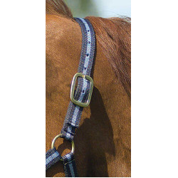 Licol nylon doublé cuir Norton Marine / ciel Bleu