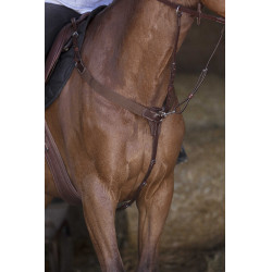 Elastische martingaal Norton Pro Havana Bruin Elastische martingaal Norton Pro Havana Bruin