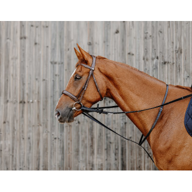 Enrênement Norton Pro Thiedeman Noir