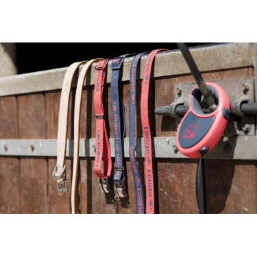 Nylon hondenhalsband Diego & Louna Antraciet / koraal Grijs