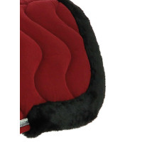 Rugbeschermer Equithème Jump Pro Wit / glanzend wit