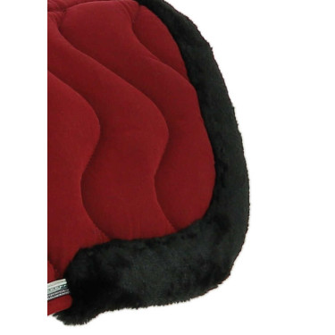 Rugbeschermer Equithème Jump Pro Bordeaux