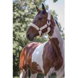 Norton halster Full synthetische schapenvacht Zwart / écru