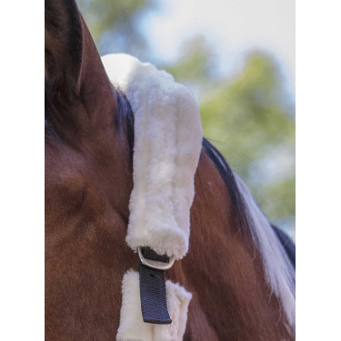 Norton halster Full synthetische schapenvacht Zwart / écru