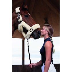 Licol Equithème Teddy Choco / écru Marron