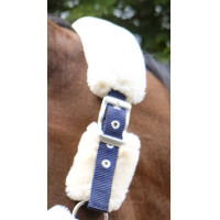 Halster Equithème Teddy Groen / bruin Halster Equithème Teddy Groen / bruin