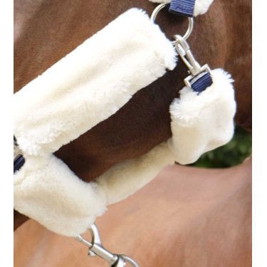 Licol Equithème Teddy Marine / écru Bleu