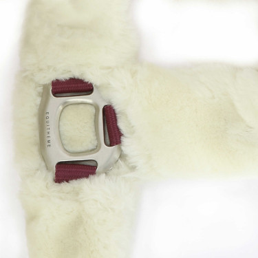 Licol Equithème Teddy Bordeaux / écru