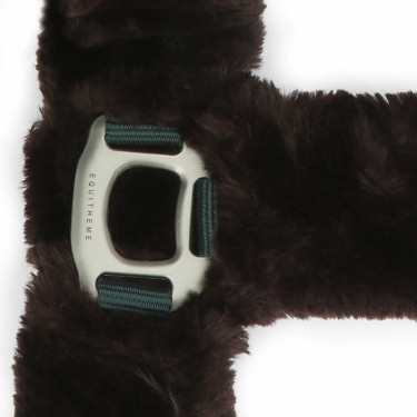 Licol Equithème Teddy Vert / marron