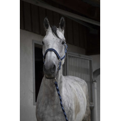 Licol + longe Equitheme Satiné Marine / bleu ciel