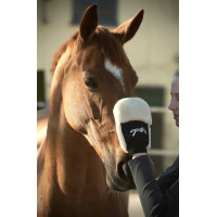 Gant de pansage Pénélope Noir