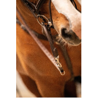 Pénélope Howlett hulpteugel Havana Bruin