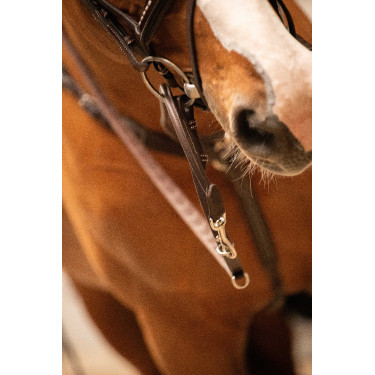 Pénélope Howlett hulpteugel Pénélope Howlett hulpteugel