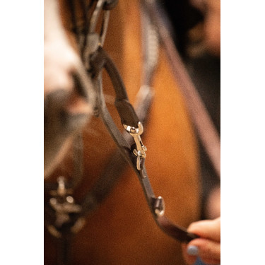 Enrênement Pénélope Howlett Enrênement Pénélope Howlett