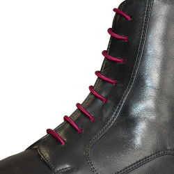 Lacets élastiques Privilege Equitation