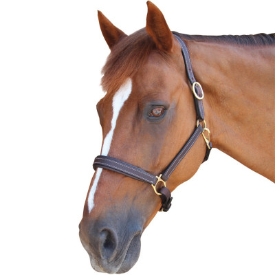 Licol Privilege Equitation La Baule Marron