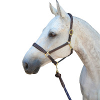 Halster Privilege Equitation La Baule Bruin Halster Privilege Equitation La Baule Bruin