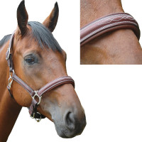 Halster Privilege Equitation Royan Bruin