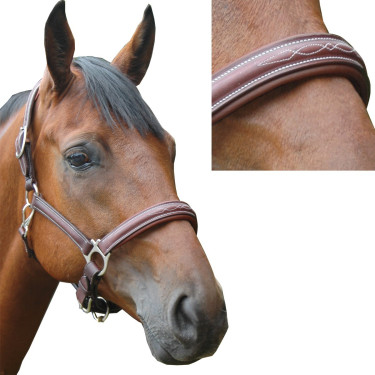 Halster Privilege Equitation Royan Bruin