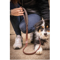Laisse chien Pénélope Rubber Havane Marron