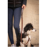 Laat hond Penelope Rubber Havana Bruin