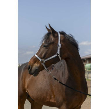 Licol Norton Nylon Soft Licol Norton Nylon Soft