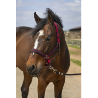 Licol Equithème Nylon Strass Bordeaux Licol Equithème Nylon Strass Bordeaux