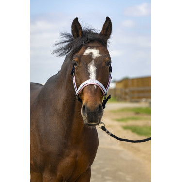 Licol Equithème Nylon Check Marine / rose Bleu Licol Equithème Nylon Check Marine / rose Bleu