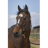Halster Equithème Nylon light Zwart