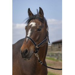Halster Equithème Nylon light Zwart