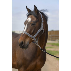 Licol Equithème Nylon light Gris
