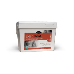Best Hoof Biotine Horse Master
