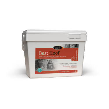 Best Hoof Biotine Horse Master