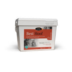 Best Hoof Biotine Horse Master