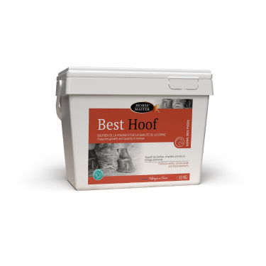 Best Hoof Biotine Horse Master