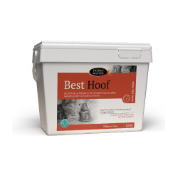 Best Hoof Biotine Horse Master