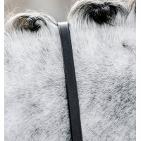Horseware teugels voor hoofdstel Zwart