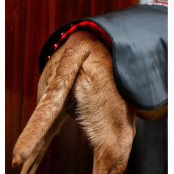 Horseware therapiehondenjas met rood LED-licht Zwart / zwart
