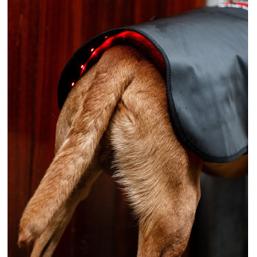 Manteau pour chien de Thérapie Horseware par lumière rouge LED Noir / noir Manteau pour chien de Thérapie Horseware par lumière rouge LED Noir / noir